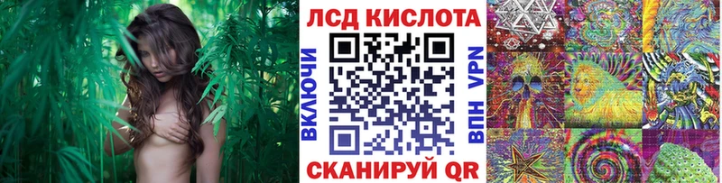 Марки NBOMe 1,8мг  кракен маркетплейс  Мариинский Посад 